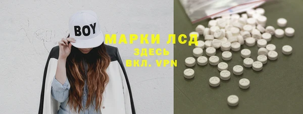 индика Абинск