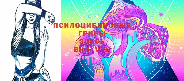 PSILOCYBIN Абаза
