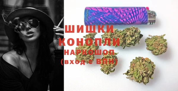 PSILOCYBIN Абаза