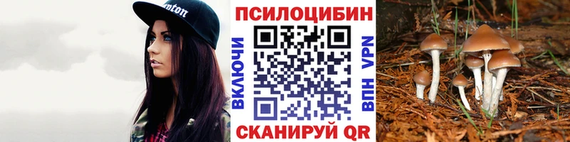 Галлюциногенные грибы MAGIC MUSHROOMS  Тайга 